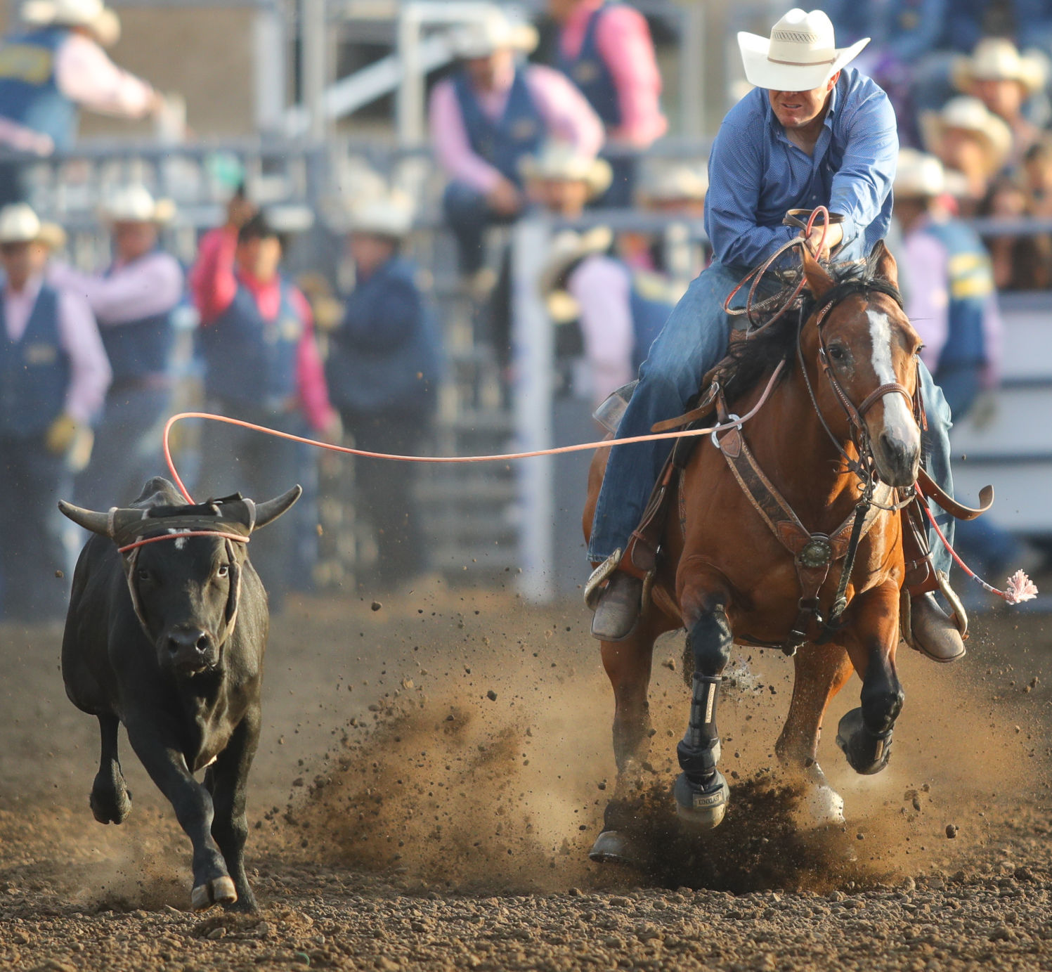 060119 Elks Rodeo Saturday 01.jpg